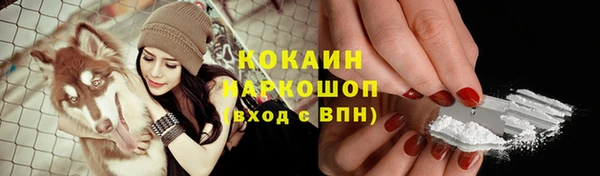 кокс Алзамай