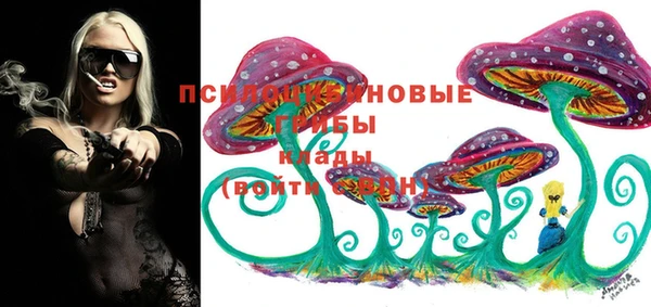 не бодяженный Алексин