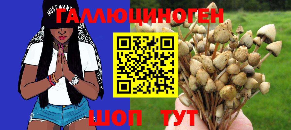 Анапа  Галлюциногенные грибы ЛСД  Вход с VPN  Псилоцибиновые грибы мухоморы 