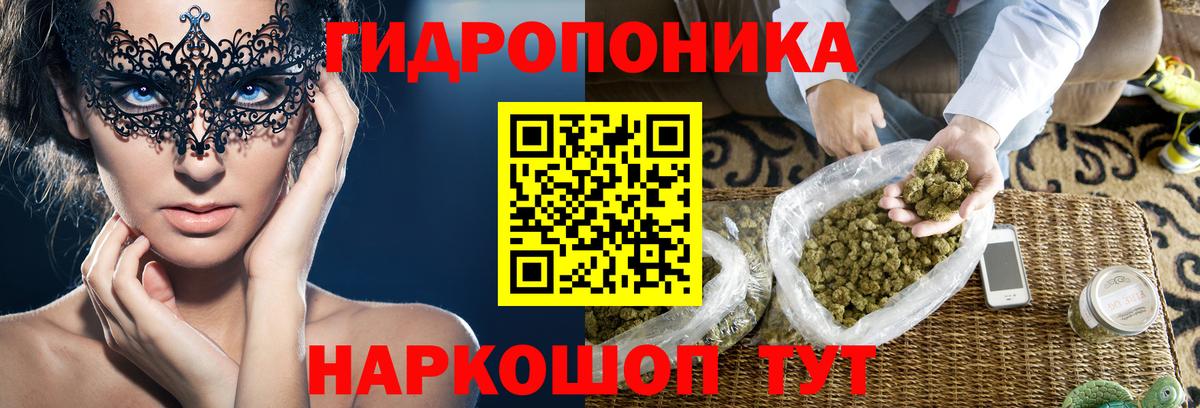 Анапа  Канабис THC 21%  Марихуана семена  Вход с VPN  МАРИХУАНА Bruce Banner  Каннабис план 